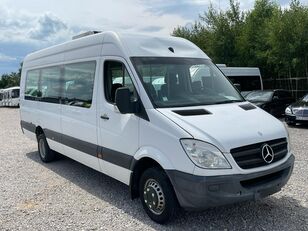 الميكروباصات لنقل الركاب Mercedes-Benz Sprinter 513