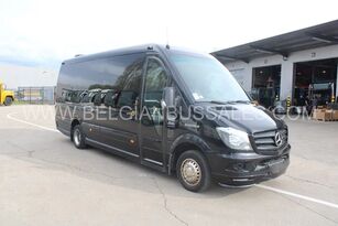 الميكروباصات لنقل الركاب Mercedes-Benz Sprinter 519 CDI / Euro 6 / Airco