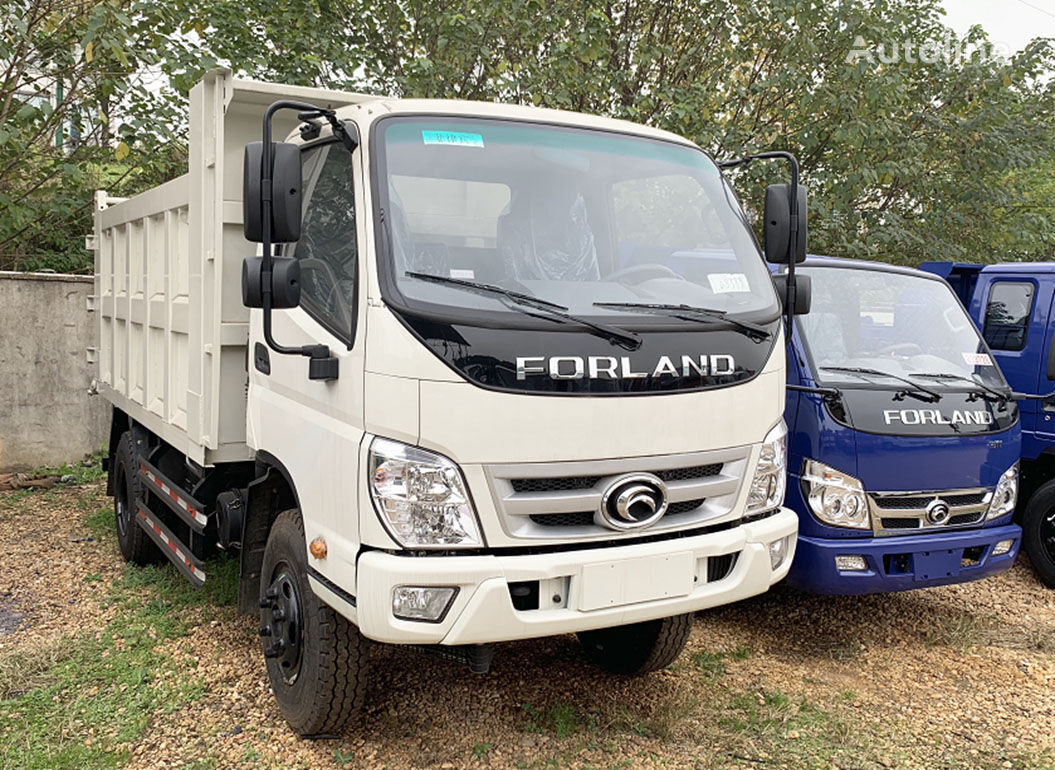 جديدة شاحنة قلابة Forland FOTON 6-9T Samosval